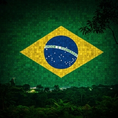 Visa Du Lịch Brazil