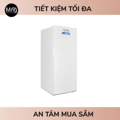 Tủ đông đứng Alaska 415 lít IF-39