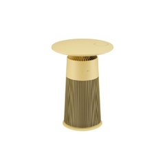 Máy lọc không khí LG PuriCare Aero Furniture AS20GPYU0 màu vàng 41W