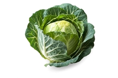 kính thiên văn 1 -test