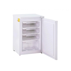 Tủ đông đứng Alaska 110 lít IF-11