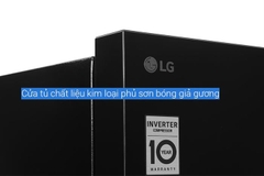 Tủ lạnh LG Inverter 217 lít T21BG