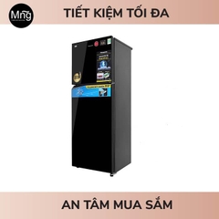 Tủ lạnh Panasonic 2 cánh Inverter 366 Lít NR-TL381VGMV
