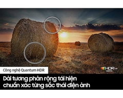 Smart TV QLED 4K Samsung 65Q70C 65 inch
