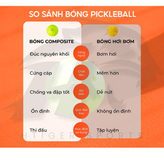 Bóng thi đấu Pickleball Qsport Q-Plus