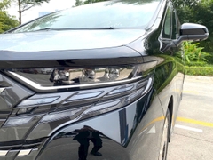 ALPHARD ĐEN - NỘI THẤT KEM