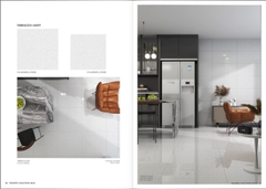 Prime Granite Collection -  Gạch lát Terrazzo Light