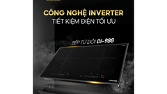 Bếp từ đôi Köcher DI-988