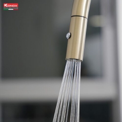 Vòi rửa bát dây rút Venice Gold