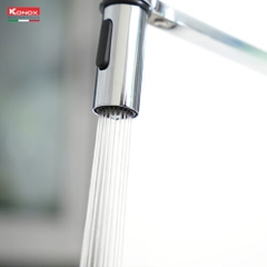 Vòi rửa bát thân mềm Tema Nickel