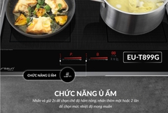 Bếp từ Eurosun EU-T899G