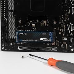 Ổ cứng SSD PNY CS1031 256GB NVMe M.2 2280 PCIe Gen 3.0 x4 (M280CS1031-256-CL)