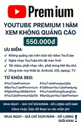 CUNG CẤP YOUTUBE PREMIUM CHÍNH CHỦ – GIẢI PHÁP CHO CÁC CỬA HÀNG NỘI THẤT Ô TÔ, ĐẠI LÝ VÀ THỢ KỸ THUẬT