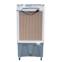 Quạt điều hòa Livotec LAC-H66