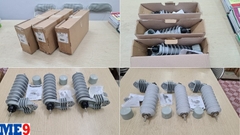 Chống sét van Cooper 24kV UHS24