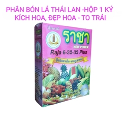 Phân bón lá RAJA NPK 6-32-32 Plus Thái Lan kích thích ra hoa, to trái đẹp bông (bột tan nhanh 1kg)