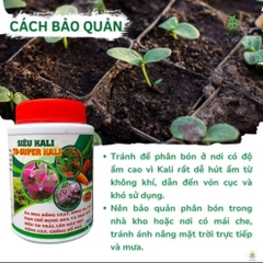 Phân bón Super Kali NPK 7-5-44 giúp cứng cây, bông nở đều, bông to, màu sắc đẹp.