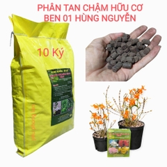 Viên nén hữu cơ BEN-01 HÙNG NGUYỄN – Bao 10ký, Chuyên Lan Kiếm, Giả hạc, Dendro, Cây Kiểng