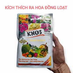 Phân vi lượng kích Hoa KNO3 (13-0-46) 200gr