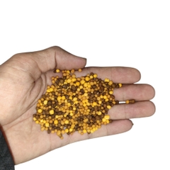 Phân bón tan chậm NPK 16-16-16 Thái Lan Multiteck phân rã 4 tháng, chiết 500gram từ bao 25ký
