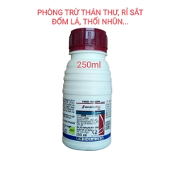 Trừ nấm bệnh trên cây trồng Amistar Top 325SC