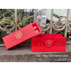 FULL BỘ TÚI HỘP TAG VALENTINE (CHƯA KÈM THIỆP) ĐỰNG SOCOLA/CHOCOLATE  9, 12, 16 & 24 VIÊN