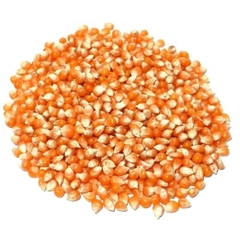 250G ngô mỹ làm bắp rang bơ ( bỏng ngô ) ngô nổ ( bắp nổ ) POPCORN