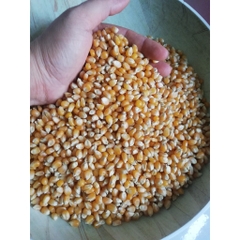 250G ngô mỹ làm bắp rang bơ ( bỏng ngô ) ngô nổ ( bắp nổ ) POPCORN