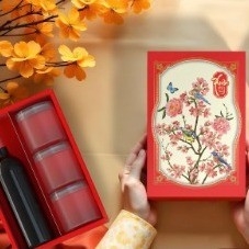 HỘP QUÀ TẾT ÉN XUÂN NHỎ- HỘP CÓ VÁCH CHIA RƯỢU KÈM TÚI XÁCH