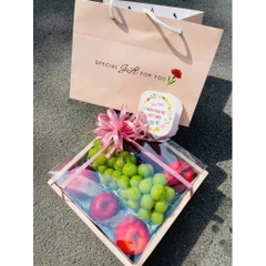 SET 5 Bộ Hộp Vuông 27x27x16  Kèm Túi Xách - Đựng trái cây , Set Quà Tặng