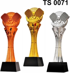 Cúp Pickleball TS0071