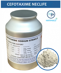 Cefotaxime Sodium 98% (Neclife Ấn Độ) – Kháng Sinh Thú Y - Thủy Sản
