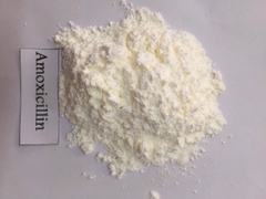 Amoxicillin Trihydrate MICRONIZED – Kháng sinh phổ rộng chuyên dùng trong thủy sản & thú y