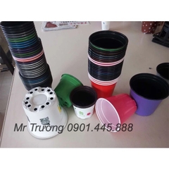 Máy in cốc 6 màu