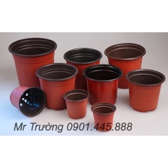 Máy in cốc 6 màu