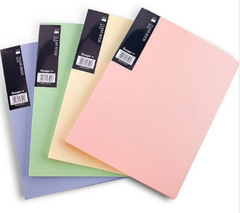 File 60 lá