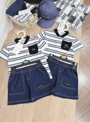 Ck xanh sọc jeans THY T2