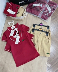 Lacoste đỏ đô THY T2