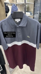 Polo Cá Không Tag