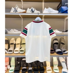 Polo Kem Phối 3 màu