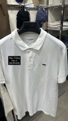 Polo Cá Không Tag