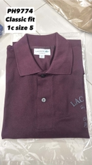 Polo Cá Không Tag