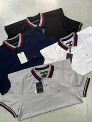 Polo Tommy