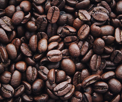 Robusta BMT – rang đậm