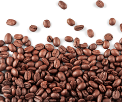 Robusta BMT – rang vừa
