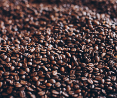 Robusta BMT – rang đậm