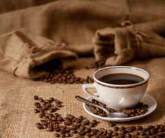 Robusta BMT – rang vừa