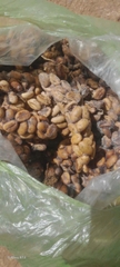 Cà phê nhân Robusta/Arabica chồn nguyên chất