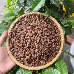 Hạt Moka rang đậm