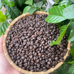 Robusta honey s16